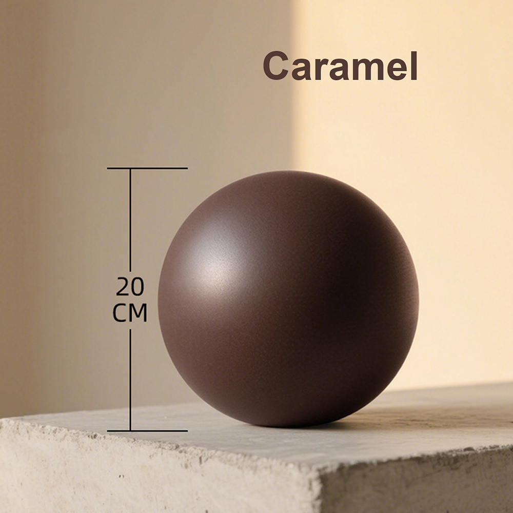 20cm Matte Exercise Ball Barre - Pilates Yoga Ball Workout recension och pris