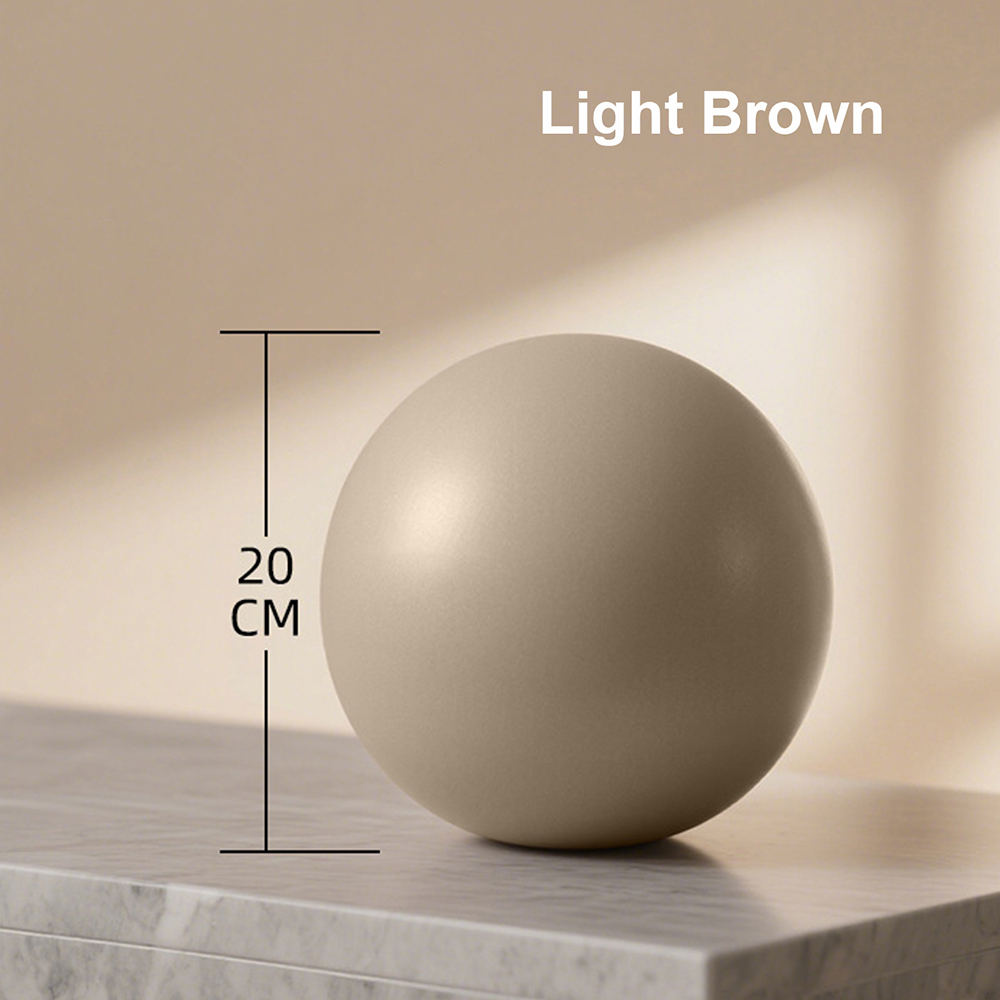 20cm Matte Exercise Ball Barre - Pilates Yoga Ball Workout recension och pris